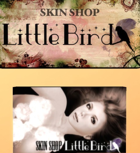 スキンショップ。::Little Bird::様:Japan