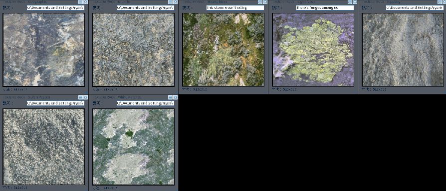 Free Textures XX