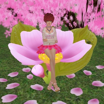 Sakura chair
