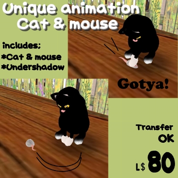 Gotya! Cat & mouse