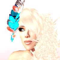 ★Free★ Butterfly*