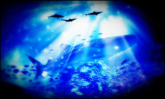 Whale Blue。。