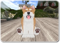 暇人