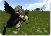 サメとサッカーとみつこ