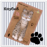 KittyCatS♥