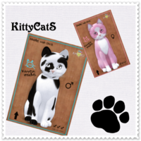KittyCatS里親募集