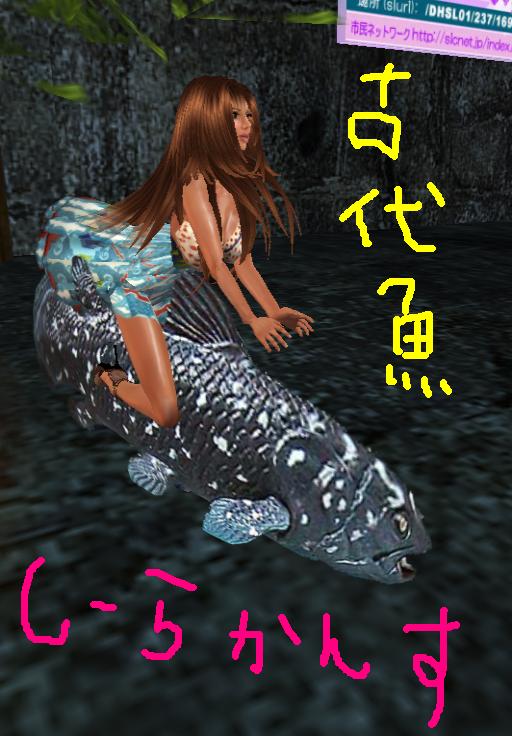 不思議空間