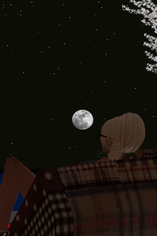 月夜の君へ