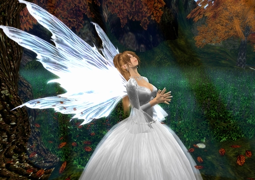 Evies Closet　Chimera Gown