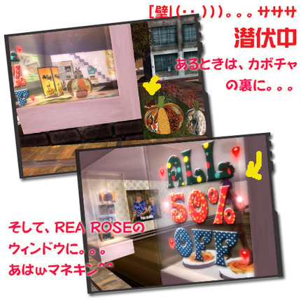 セールが終わって反省と、お得情報(*-*)エヘヘ