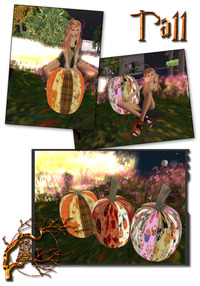 +Olive+ ☆HALLOWEEN☆フリーもw