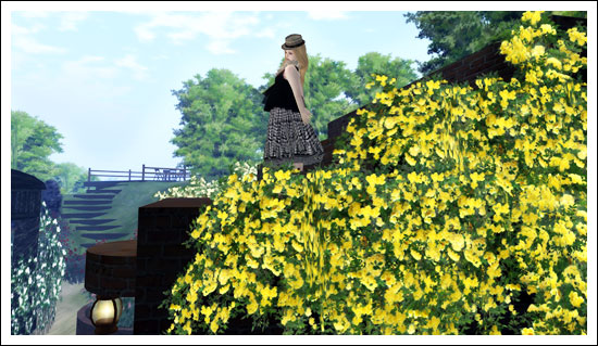 薔薇の園より