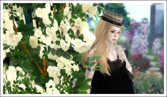 薔薇の園より