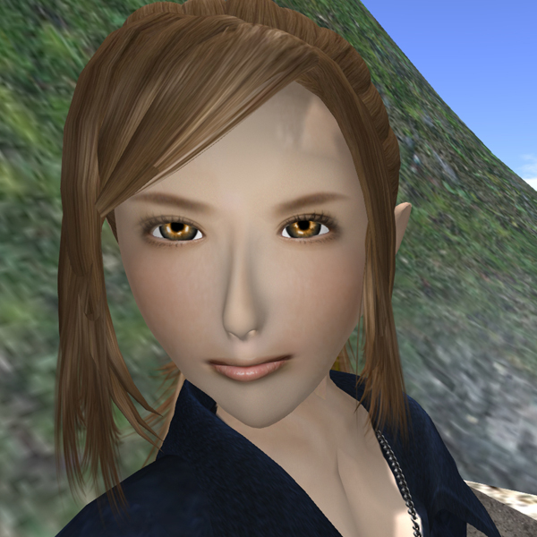何種類も