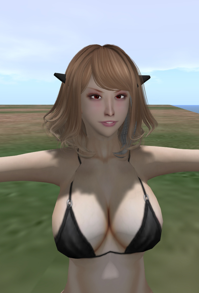 FL-AVATARは