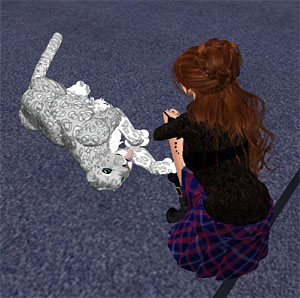 Leopard&Cat&Human