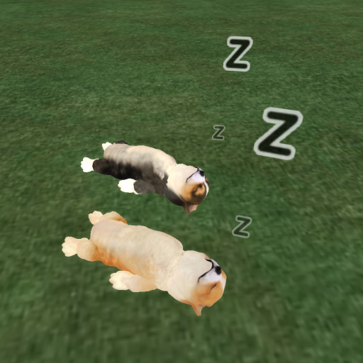 やっと見つかったワンちゃんたちw