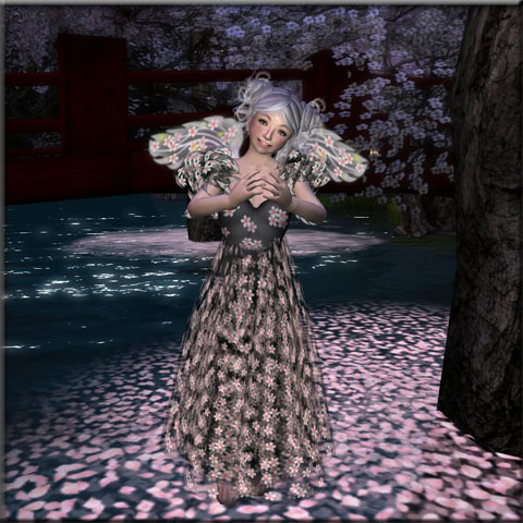 夜桜のドレスと音の森フォトコン