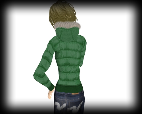 SL photo