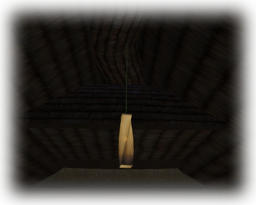 SL photo