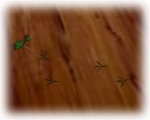 SL photo