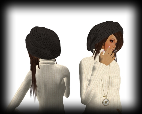 SL photo
