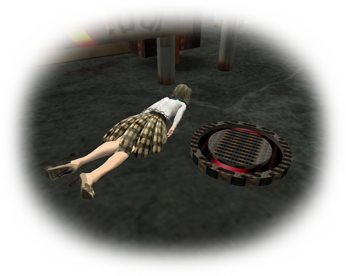 SL photo
