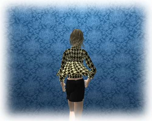 SL photo