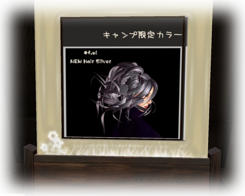 SL photo