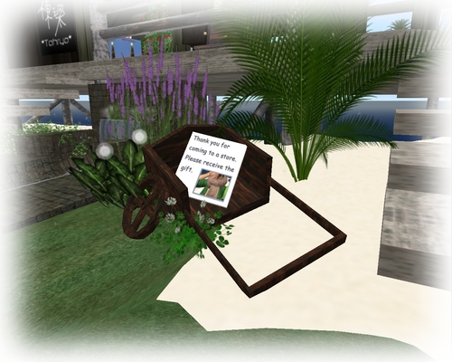 SL photo