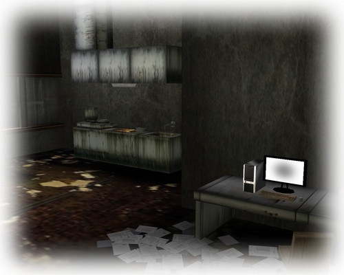 SL photo