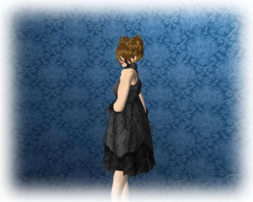 SL photo