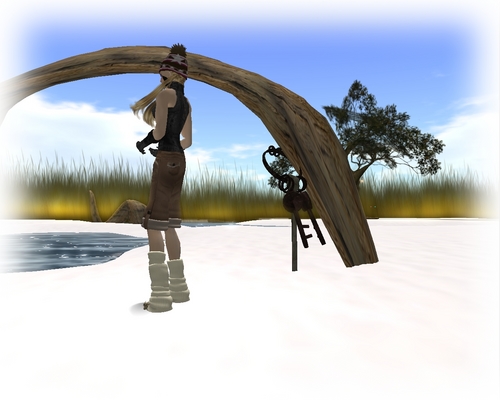 SL photo