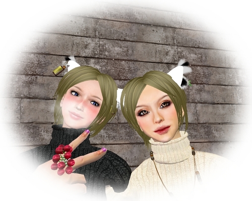 SL photo