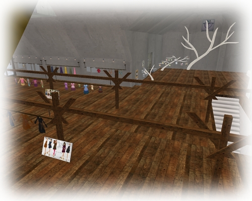 SL photo