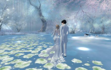 Wedding Photo