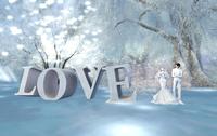 Wedding Photo