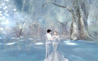 Wedding Photo