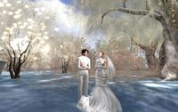 Wedding Photo