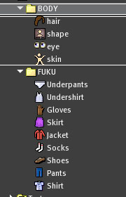 アバターの体と服