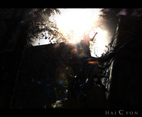 Halcyon