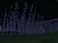 lavender　room