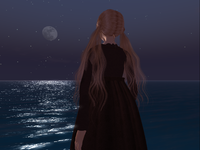 夜明け　komorebisim