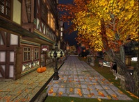 Halloween　in the place　