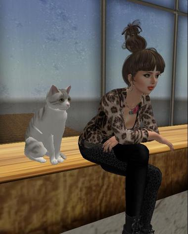 猫