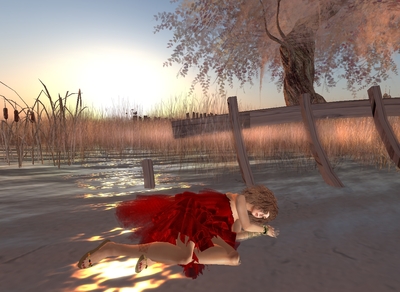 tomoto red dress