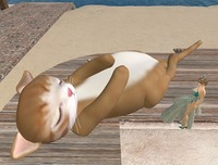ヌコまみれ＠＠
