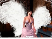 FreeなWinter Angel