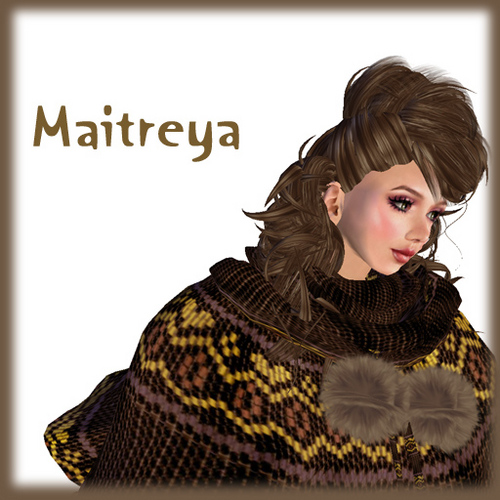 Maitreyaさんの靴♪