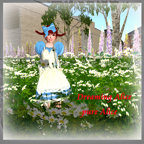 フリーのアリス服2種。